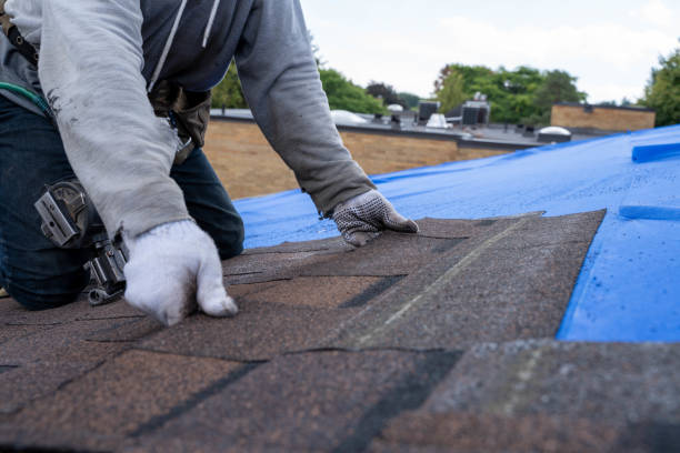 Best Roof Leak Repair  in Scottsboro, AL
